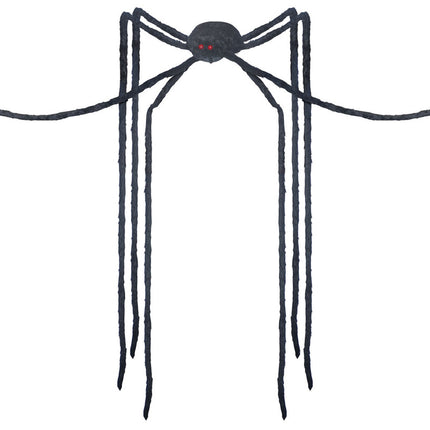 Giant Long-Legs Spider
