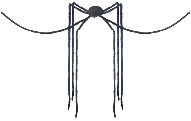 Giant Long-Legs Spider