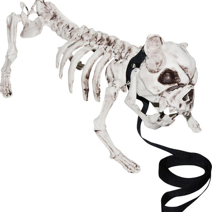 SKELETON DOG