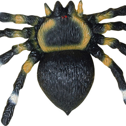 SOFT SPIDER