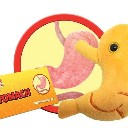 stomach plushie with informational tag