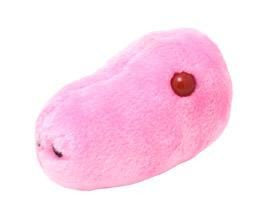 Swine Flu Plushie angled view