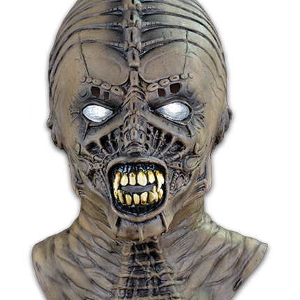 Syngenor Mask