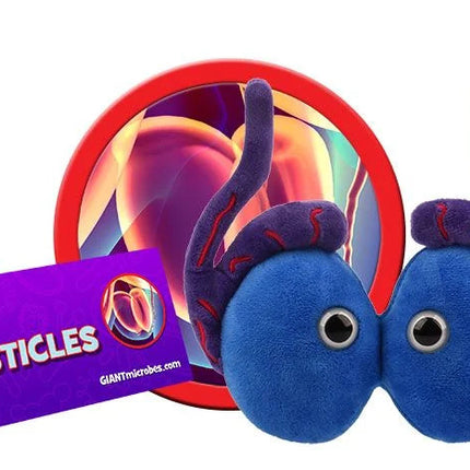 testicles plushie with informational tag