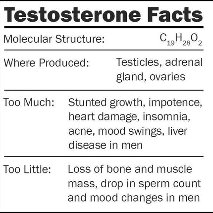 Testosterone- Facts