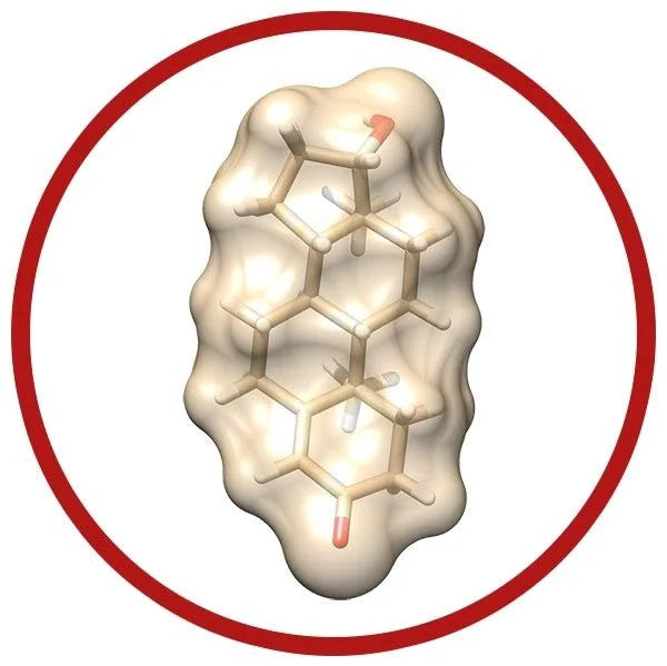 Testosterone- Molecule