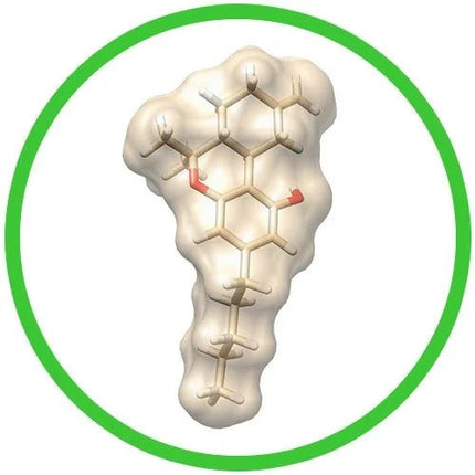 THC- Molecule