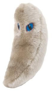 Toxoplasmosis Plushie