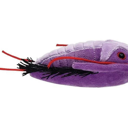 Trilobite plushie flat view