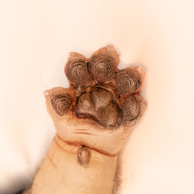 WerePups- Toby- close up hand