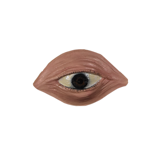 Eye appliance