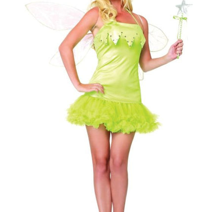 Pixie Costume ~