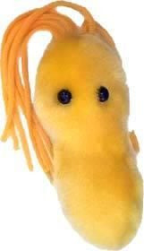 Ulcer Plushie