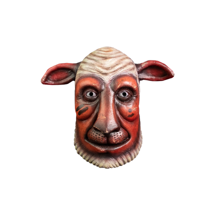 Front view of Agent Baron Von Chivs Mask