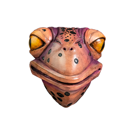 Front view of Agent Toad Mask