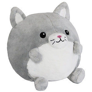 Undercover Kitty in Dragon- Just the Kitty