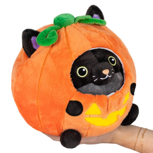 Undercover Black Kitty in Pumpkin- Front View