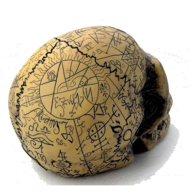 Omega Skull