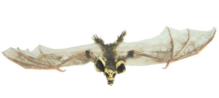 BAT WITH SKULL HEAD