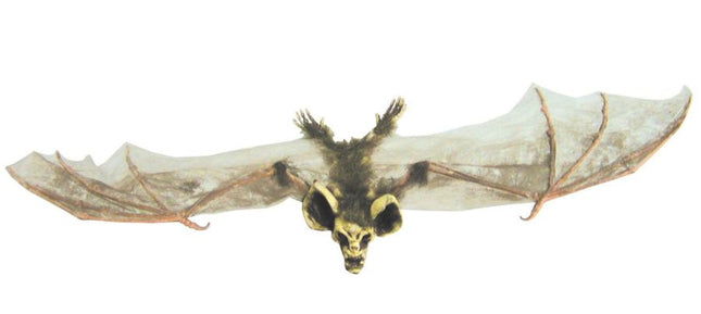 BAT WITH SKULL HEAD