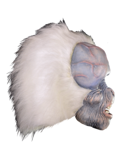Right-side view of Visitor from Space Mask