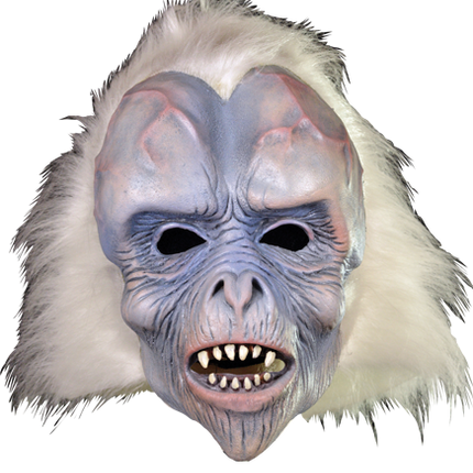 Front view of Visitor from Space Mask