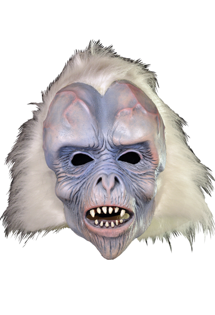 Front view of Visitor from Space Mask
