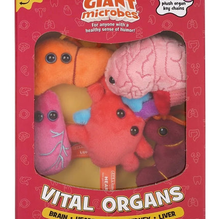 Vital Organs Gift Box