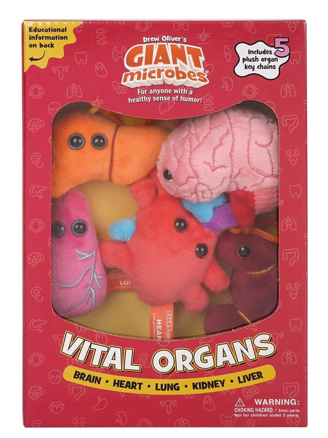 Vital Organs Gift Box