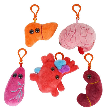 Vital Organs Gift Box