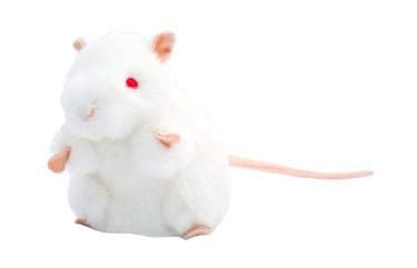 Mouse Plushie