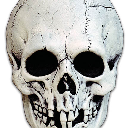 Nightowl Skull Mask