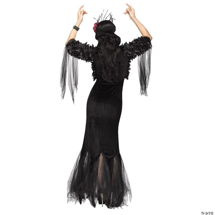 Raven Mistress Costume- back view