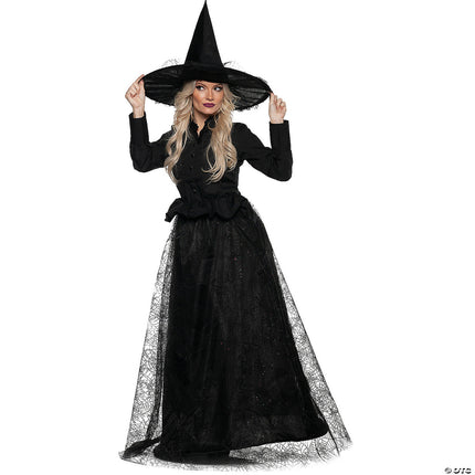 Wicked Lace Spider Witch Costume