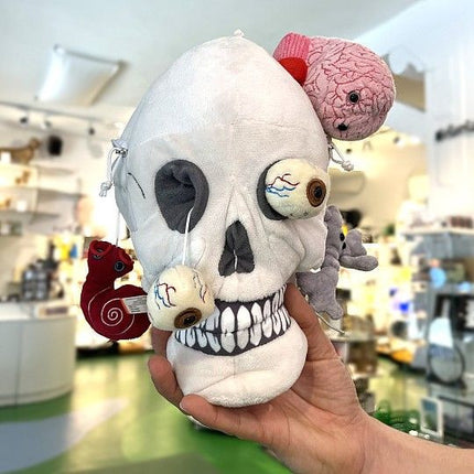 Deluxe Skull plushie with all organs removed